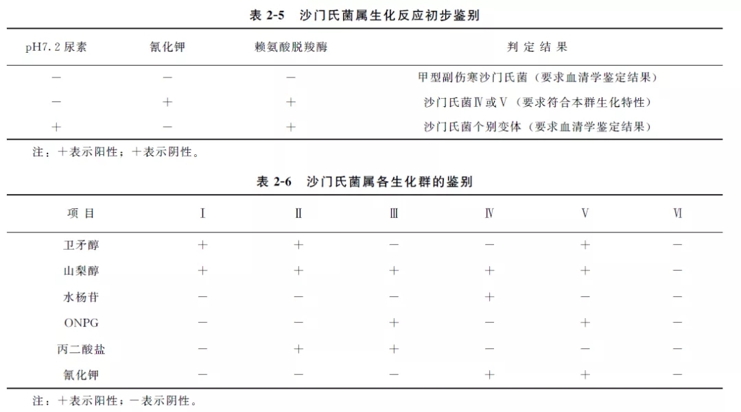 沙门氏菌属生化反应初步鉴别