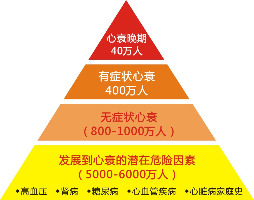 NT-proBNP怎么就成死亡预测因子?