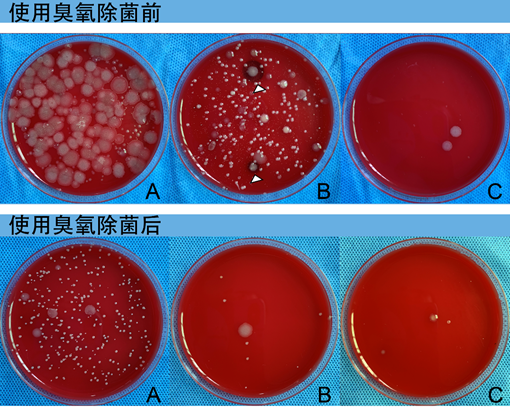 臭氧消毒效果